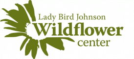 Wildflower Center Logo