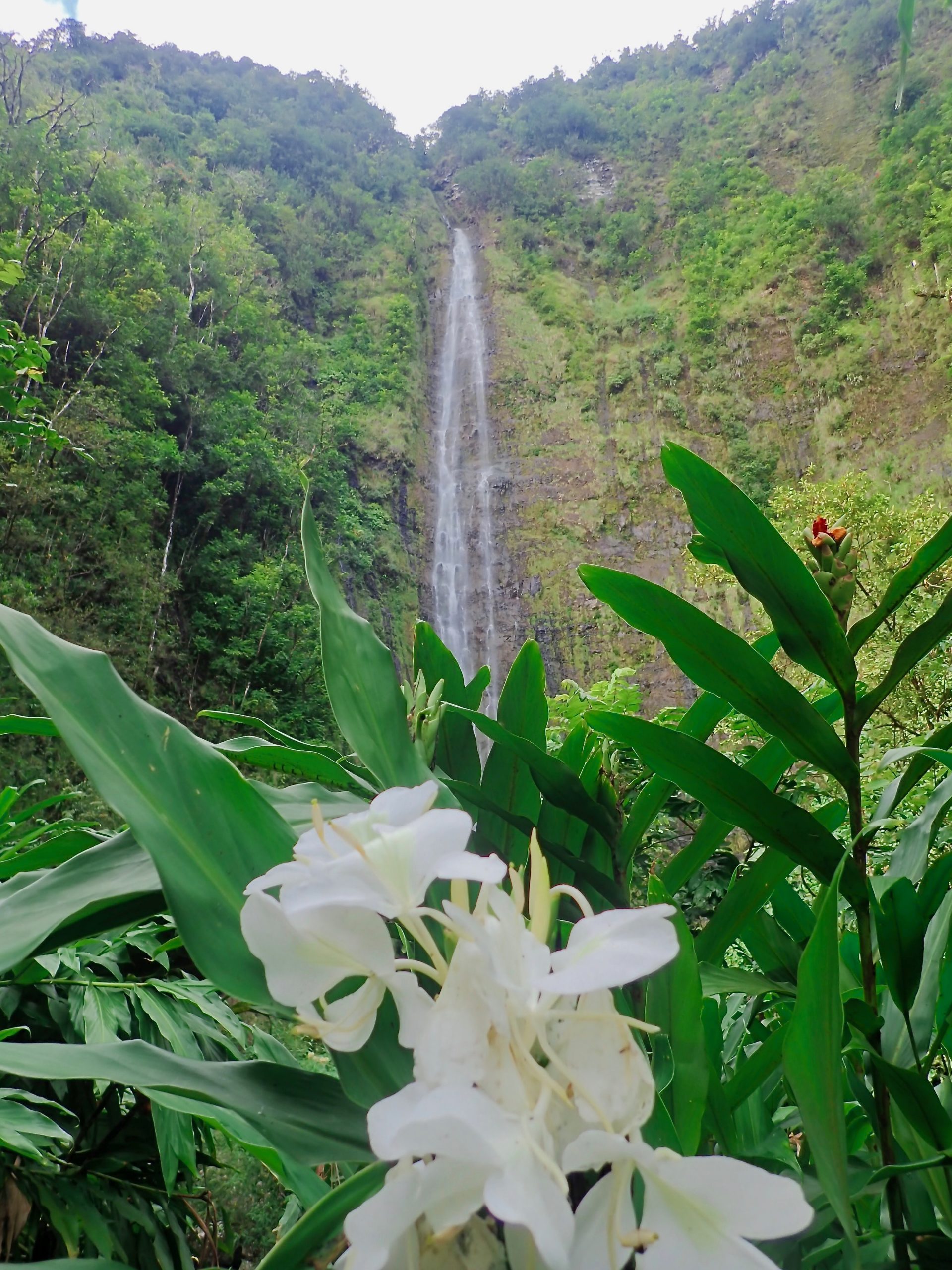 Waimoku Falls