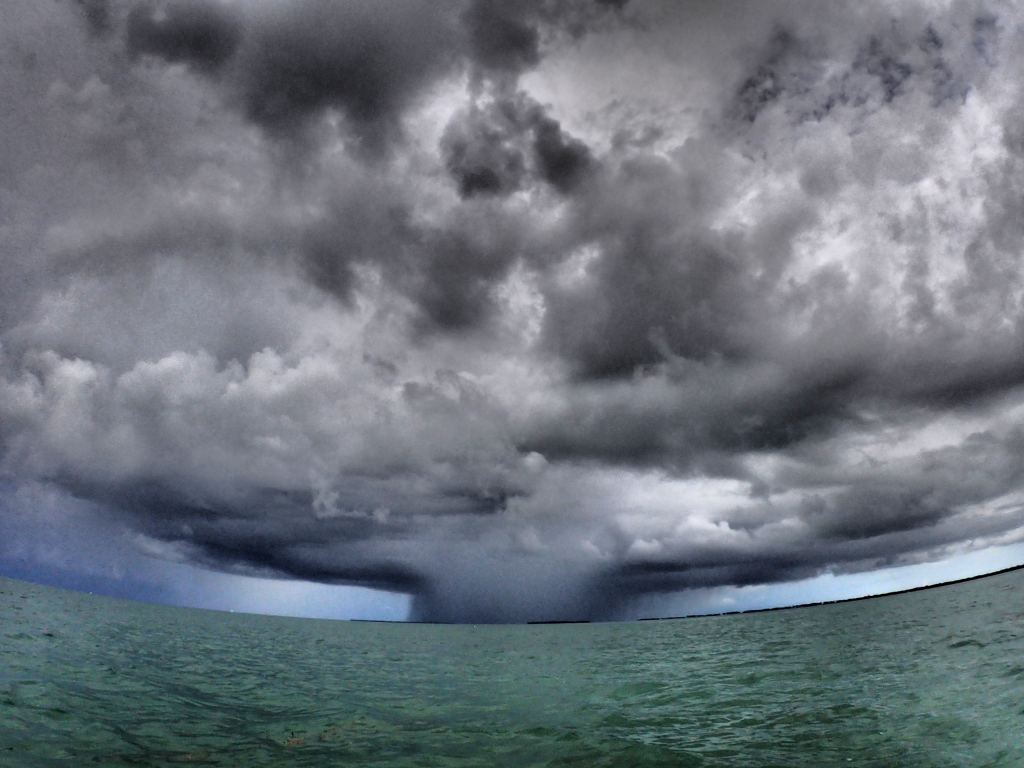 Coupon Bight Aquatic Preserve Wild Boyz Photography