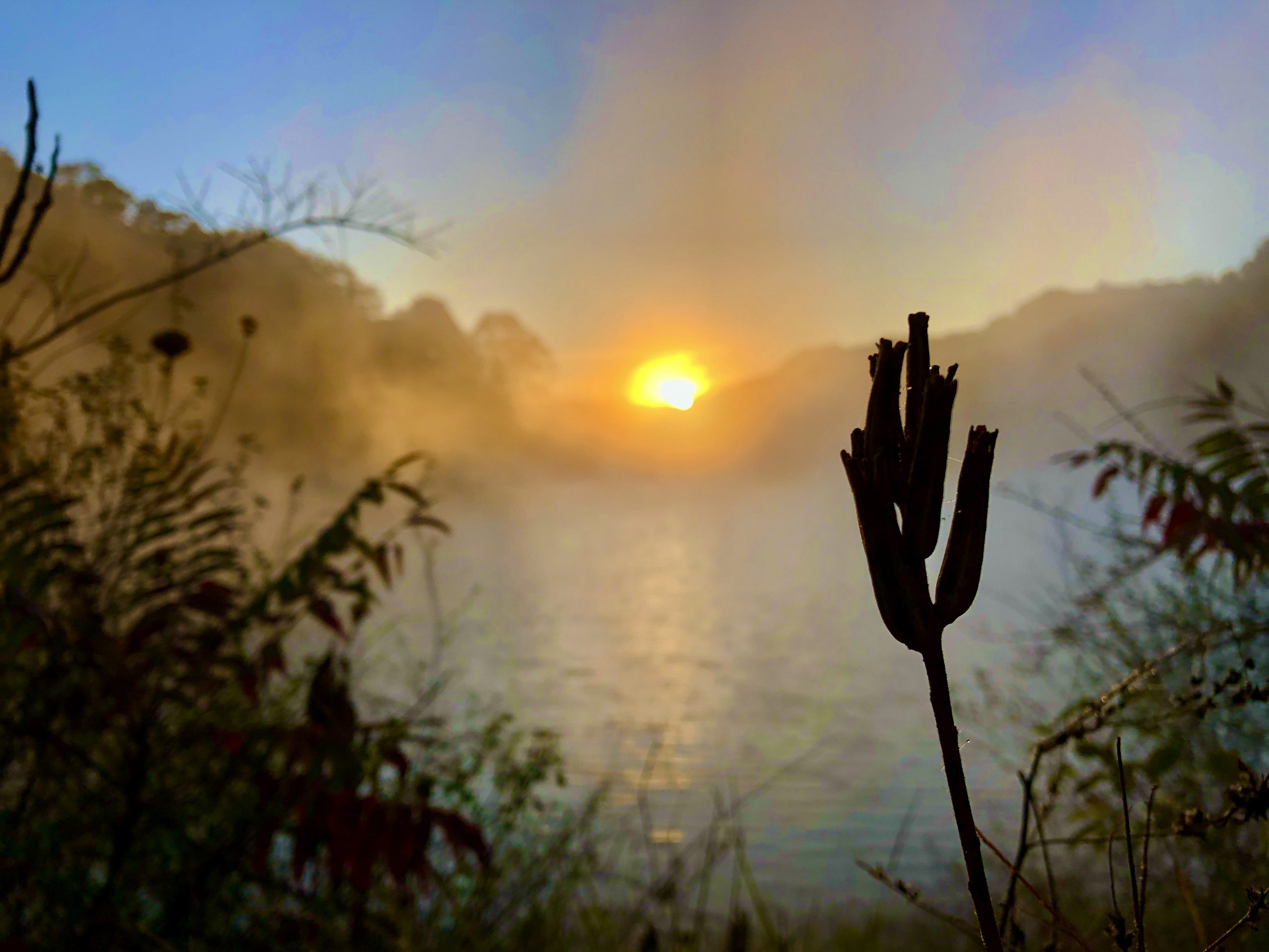 Griffy Lake Sunrise
