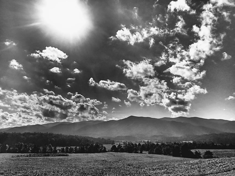 Black and White Great Smoky Mountains National Park Live Cades Cove
