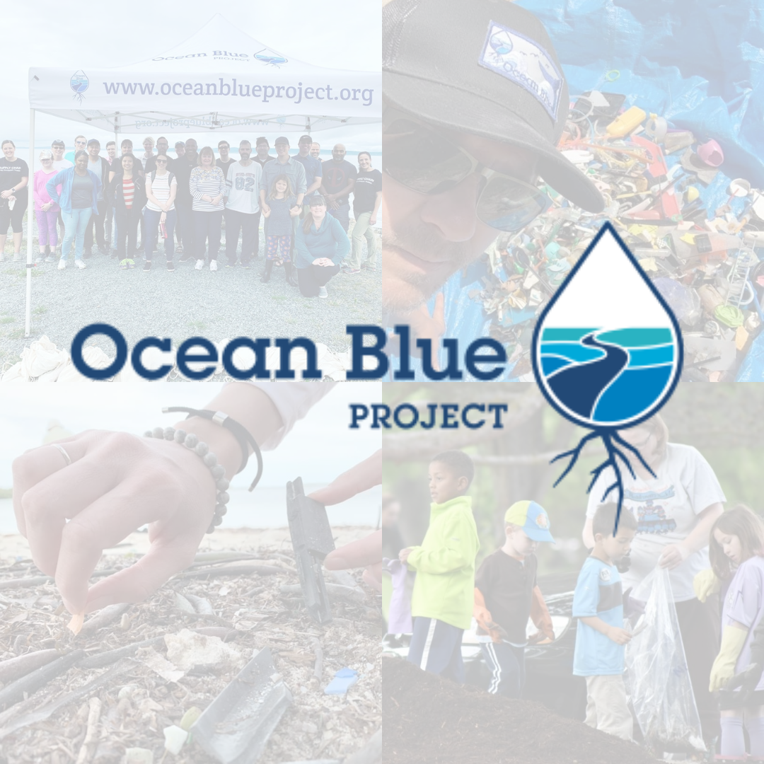 Ocean Blue Project - Giving Tuesday