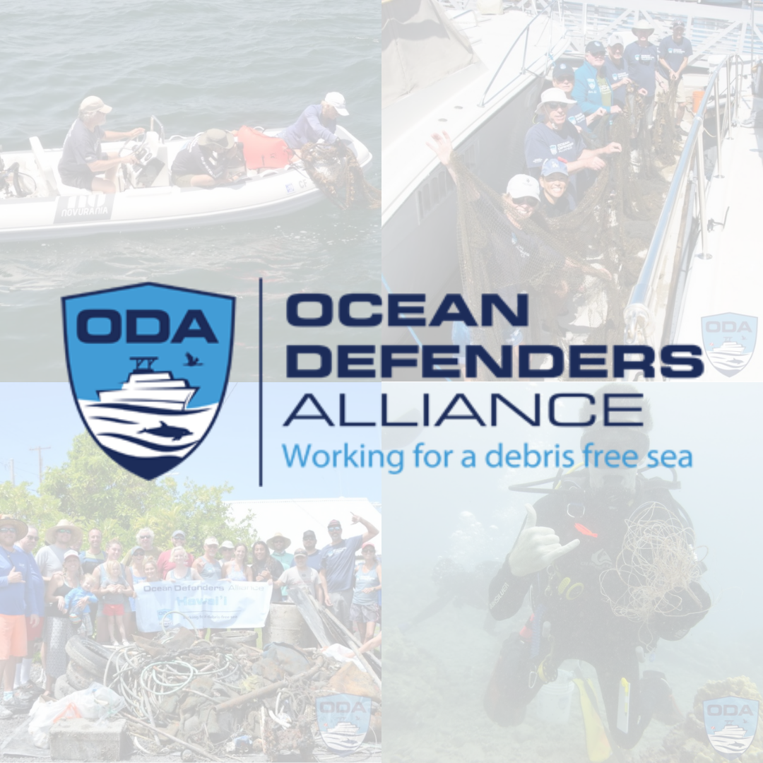 Ocean Defenders Alliance Post