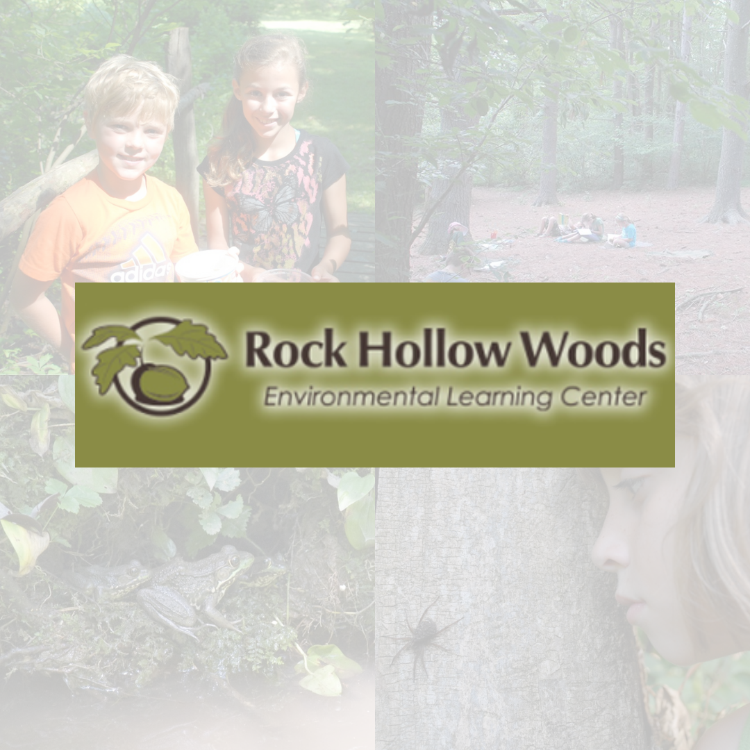 Rock Hollow Woods Post