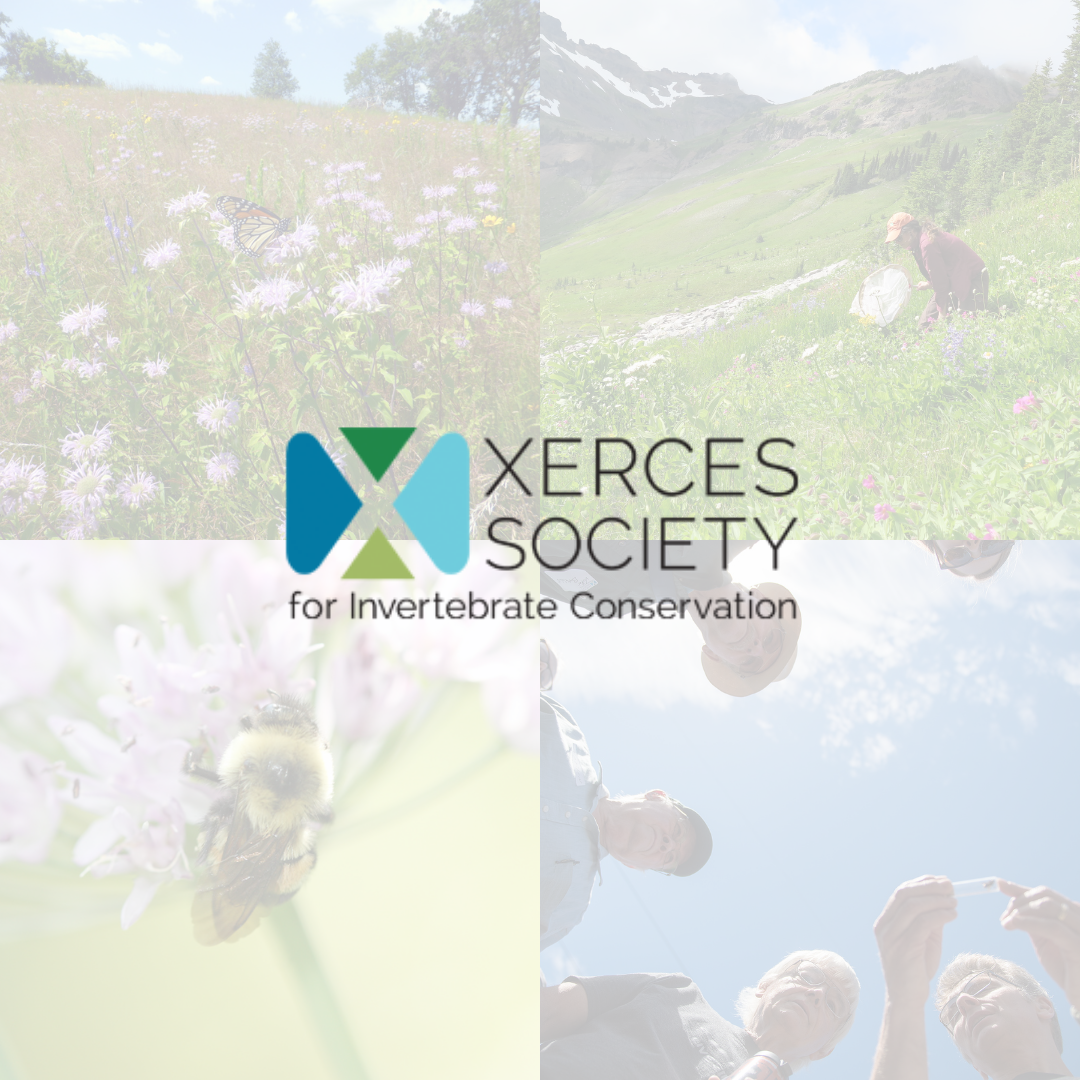Xerces Society - Giving Tuesday