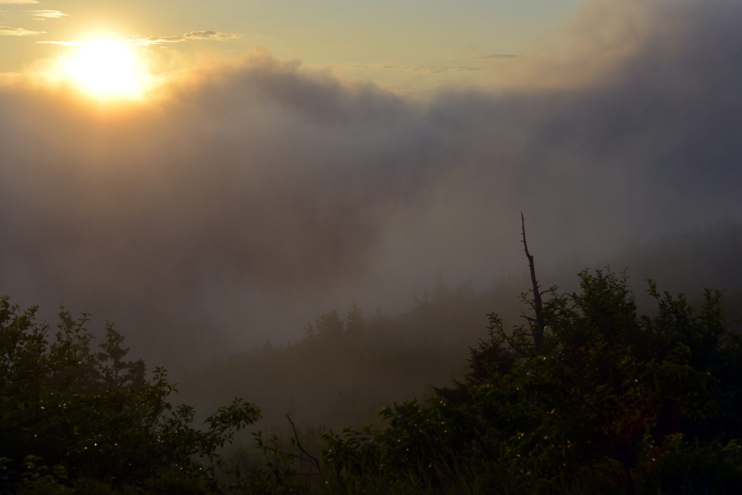 Cadillac Mountain Acadia Sunrise Live