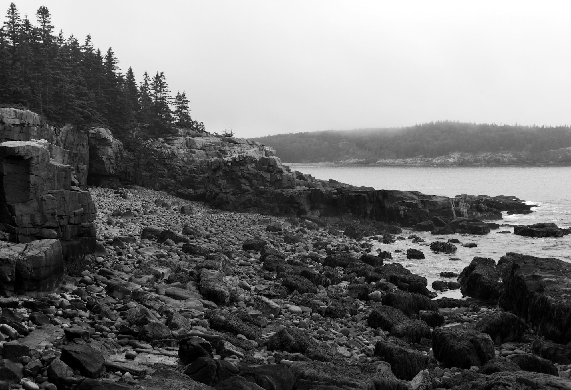 Newport Cove Acadia National Park Live